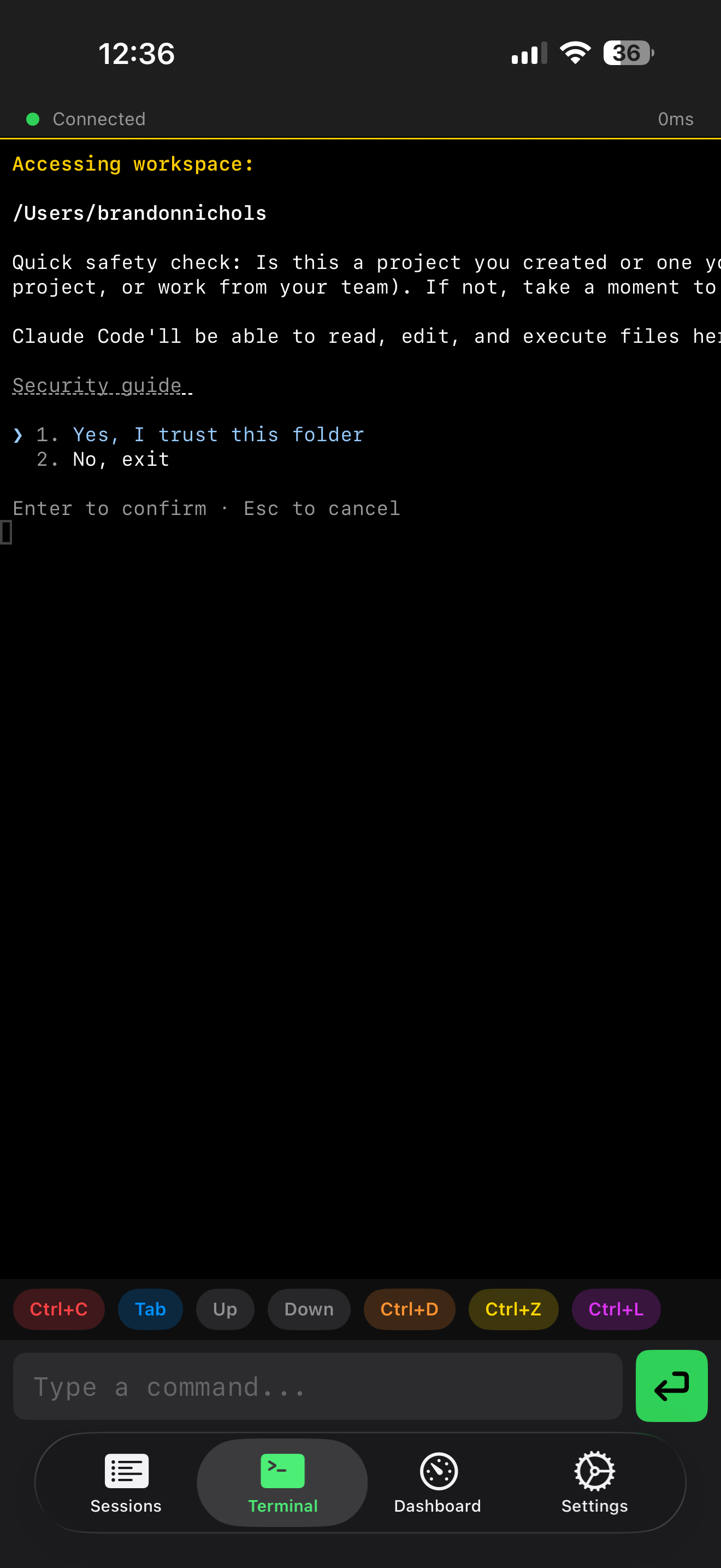 Full interactive terminal — Claude Code session running